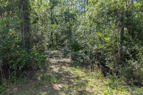 Terreno en venta en Waldo, Florida № 1871052 - foto 5