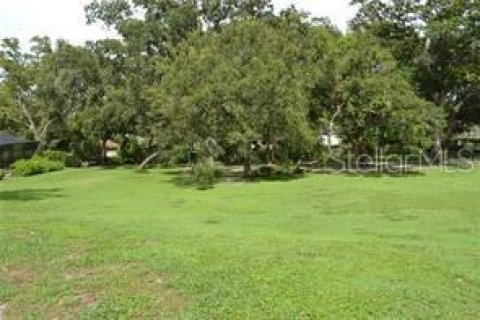 Terreno en venta en Lakeland, Florida № 2239108 - foto 6