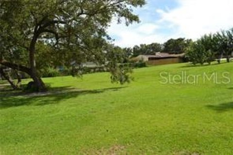 Terreno en venta en Lakeland, Florida № 2239108 - foto 10