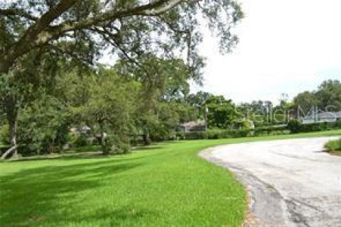Terreno en venta en Lakeland, Florida № 2239108 - foto 5