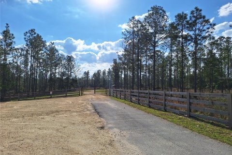 Casa en venta en Ocklawaha, Florida, 3 dormitorios, 122.91 m2 № 1527735 - foto 20