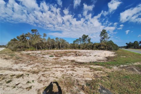 Casa en venta en Ocklawaha, Florida, 3 dormitorios, 122.91 m2 № 1527735 - foto 16