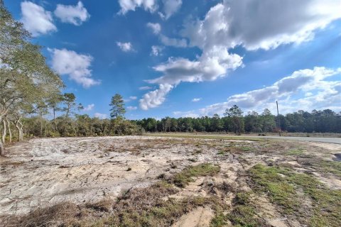 Casa en venta en Ocklawaha, Florida, 3 dormitorios, 122.91 m2 № 1527735 - foto 13
