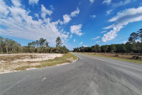 Casa en venta en Ocklawaha, Florida, 3 dormitorios, 122.91 m2 № 1527735 - foto 15