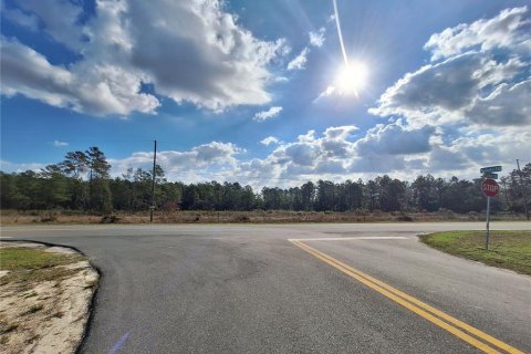 Casa en venta en Ocklawaha, Florida, 3 dormitorios, 122.91 m2 № 1527735 - foto 17