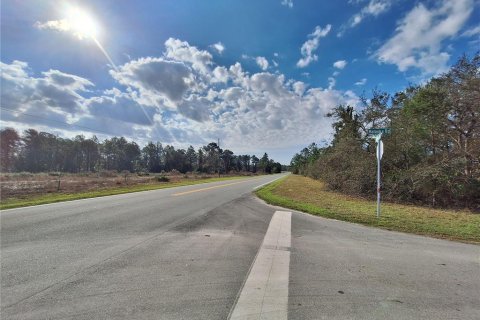 Casa en venta en Ocklawaha, Florida, 3 dormitorios, 122.91 m2 № 1527735 - foto 14