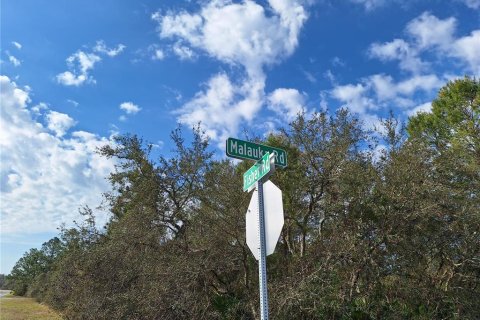Casa en venta en Ocklawaha, Florida, 3 dormitorios, 122.91 m2 № 1527735 - foto 18
