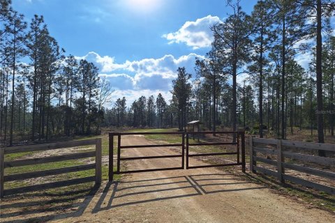 Casa en venta en Ocklawaha, Florida, 3 dormitorios, 122.91 m2 № 1527735 - foto 21