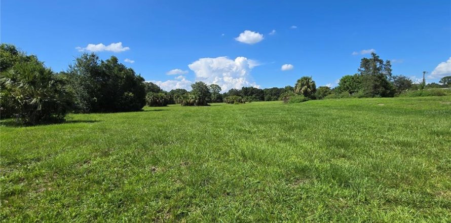 Land in Okeechobee, Florida № 1902217