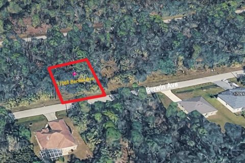 Land in Port Charlotte, Florida № 2163396