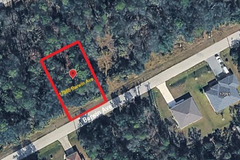 Land in Port Charlotte, Florida № 2163396 - photo 2