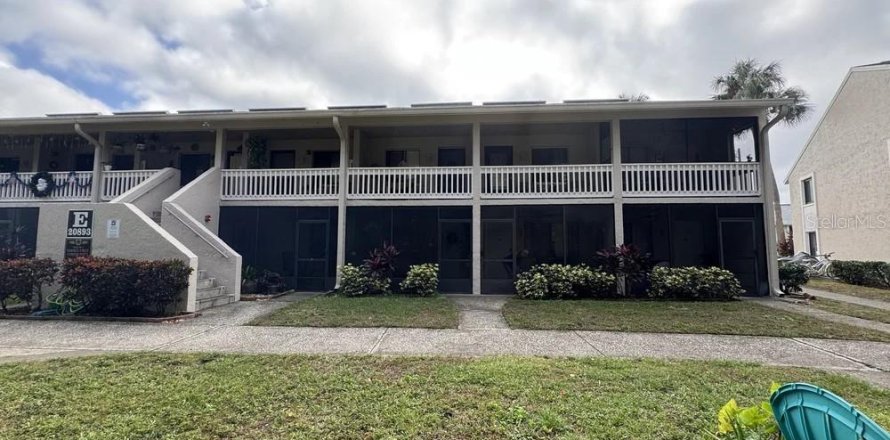 Condo à Lutz, Floride, 1 chambre № 1885387