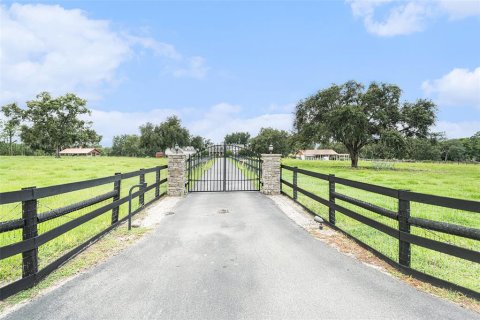 Casa en venta en Dade City, Florida, 4 dormitorios, 608.42 m2 № 1844562 - foto 3