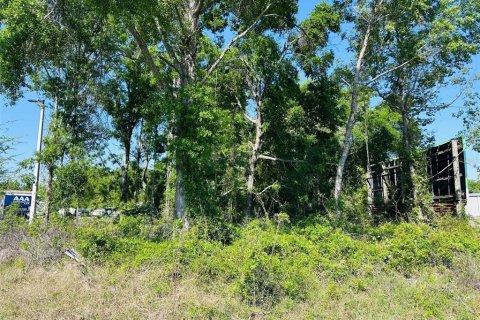 Terreno en venta en Chiefland, Florida № 1629080 - foto 1
