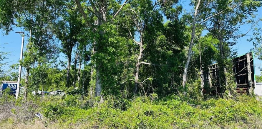 Terreno en Chiefland, Florida № 1629080