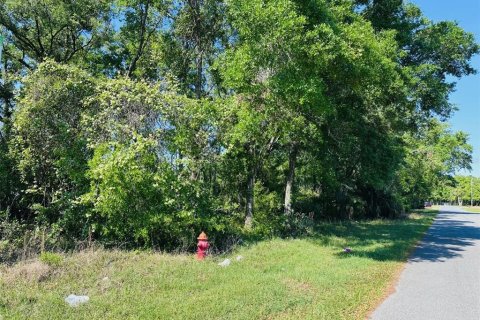 Terreno en venta en Chiefland, Florida № 1629080 - foto 4