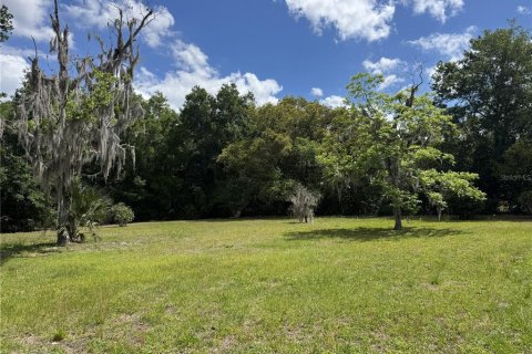Terrain à vendre à Umatilla, Floride № 2099367 - photo 4