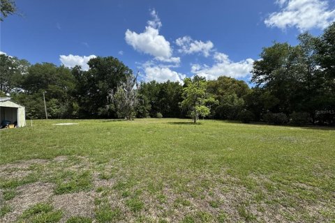Terrain à Umatilla, Floride № 2099367