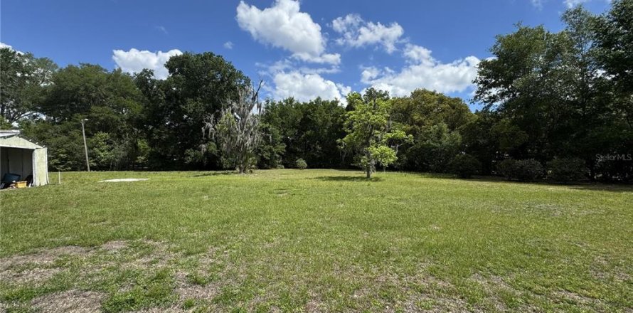 Terrain à Umatilla, Floride № 2099367