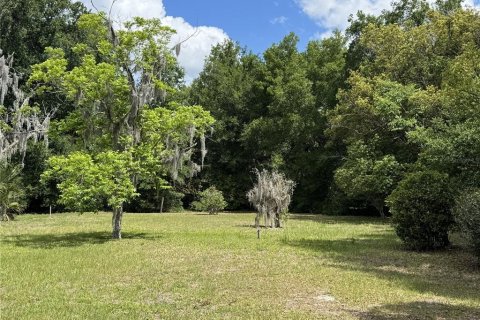 Terrain à vendre à Umatilla, Floride № 2099367 - photo 5