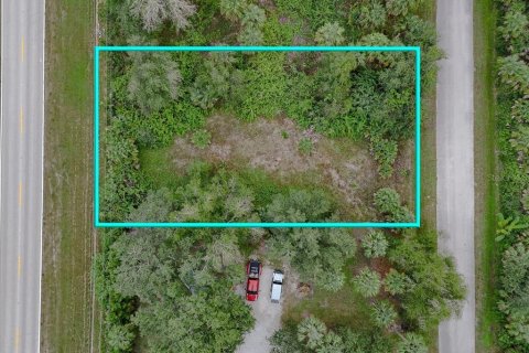 Land in Punta Gorda, Florida № 2159887 - photo 10