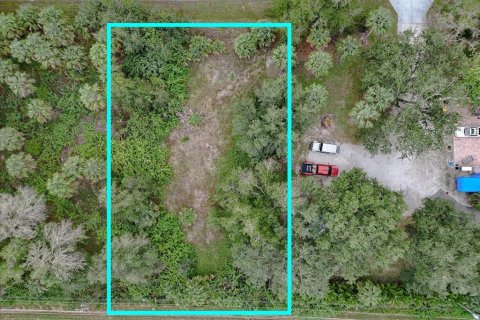 Land in Punta Gorda, Florida № 2159887 - photo 11
