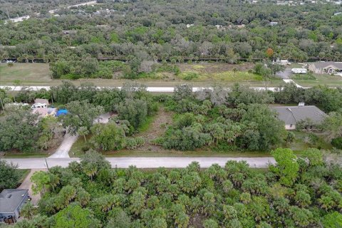 Land in Punta Gorda, Florida № 2159887 - photo 14