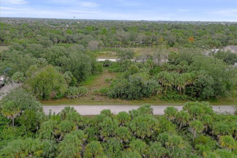 Land in Punta Gorda, Florida № 2159887 - photo 9