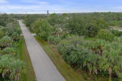 Land in Punta Gorda, Florida № 2159887 - photo 5