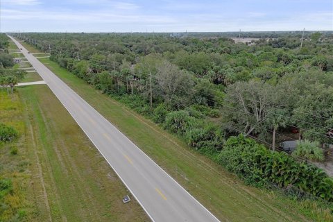 Land in Punta Gorda, Florida № 2159887 - photo 3