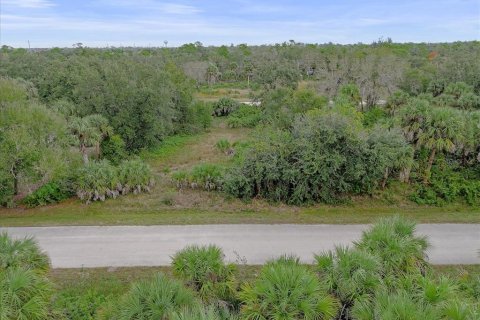 Land in Punta Gorda, Florida № 2159887 - photo 7