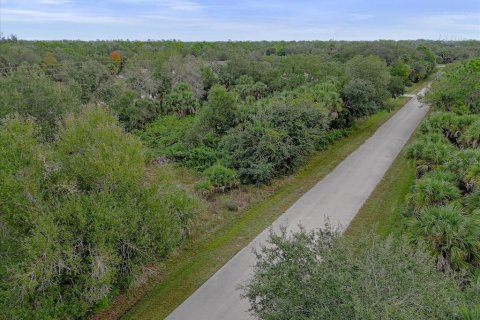Land in Punta Gorda, Florida № 2159887 - photo 4