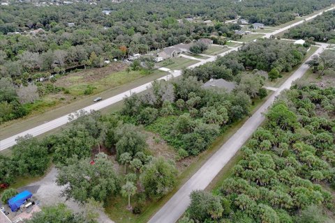Land in Punta Gorda, Florida № 2159887 - photo 13