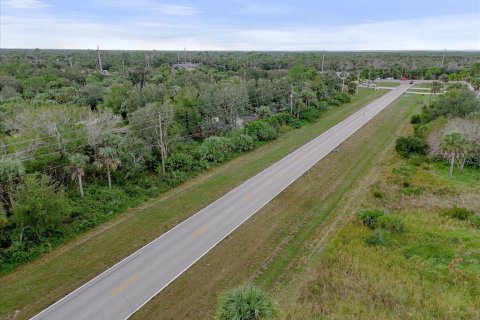 Land in Punta Gorda, Florida № 2159887 - photo 2