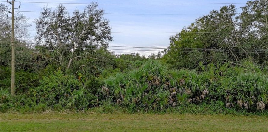 Land in Punta Gorda, Florida № 2159887