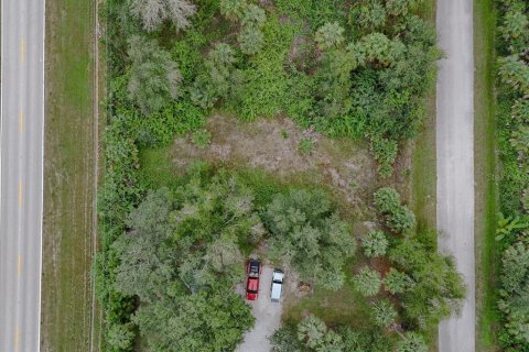 Land in Punta Gorda, Florida № 2159887 - photo 6