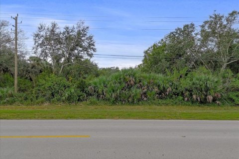 Land in Punta Gorda, Florida № 2159887 - photo 20