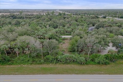 Land in Punta Gorda, Florida № 2159887 - photo 19