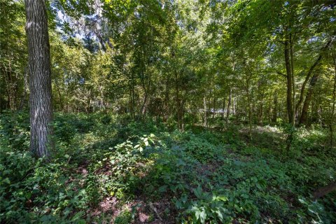 Land in Gainesville, Florida № 1385422 - photo 1