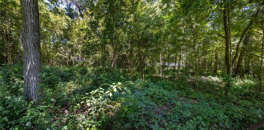 Land in Gainesville, Florida № 1385422