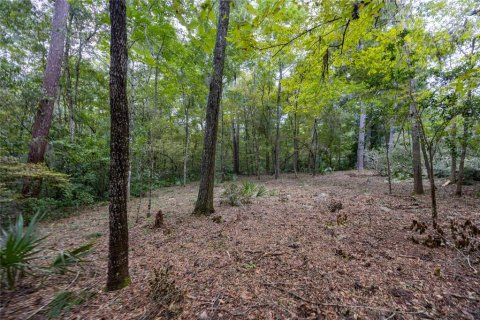 Land in Gainesville, Florida № 1385422 - photo 9
