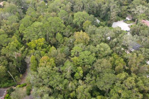 Land in Gainesville, Florida № 1385422 - photo 15
