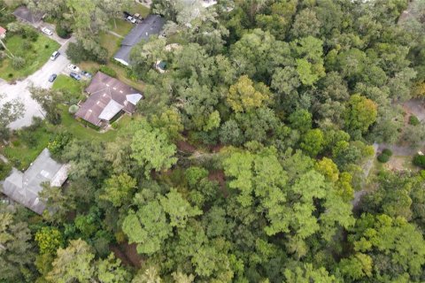 Land in Gainesville, Florida № 1385422 - photo 20
