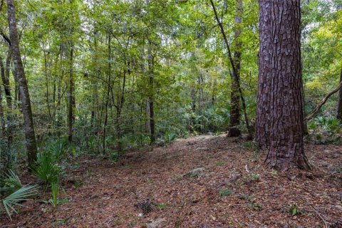 Land in Gainesville, Florida № 1385422 - photo 11
