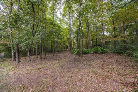 Land in Gainesville, Florida № 1385422 - photo 5