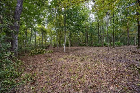 Land in Gainesville, Florida № 1385422 - photo 4