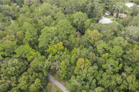 Land in Gainesville, Florida № 1385422 - photo 14