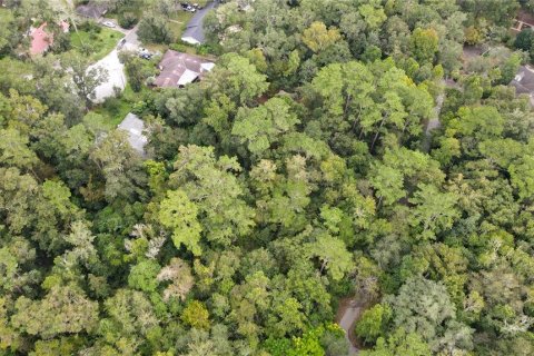 Land in Gainesville, Florida № 1385422 - photo 19