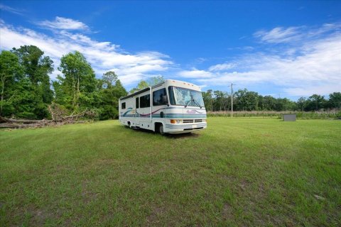 Land in High Springs, Florida № 1747172 - photo 6