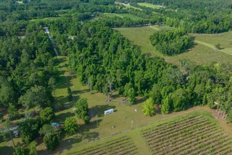 Land in High Springs, Florida № 1747172 - photo 3